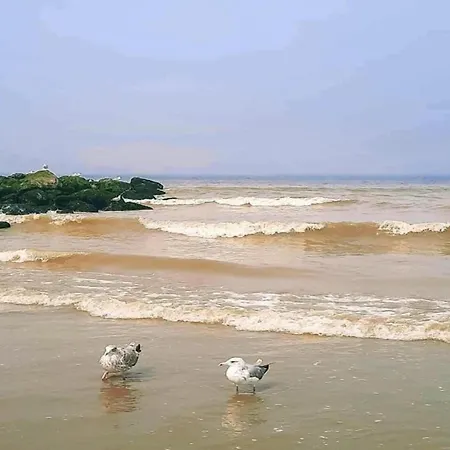 Attic In By The Sea * Nieuwpoort