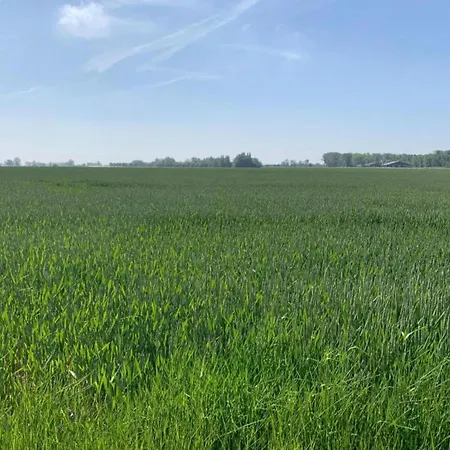 Attic In By The Sea * Nieuwpoort