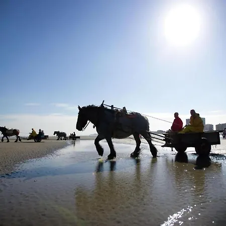 Attic In By The Sea * Nieuwpoort
