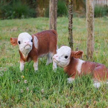 Attic In By The Sea Daire